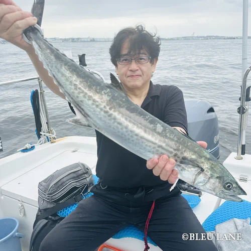 13:30～「太刀魚・青物便」2