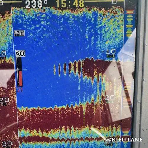 13:00～「サワラ便」1