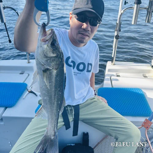 4:30～「五目便」5