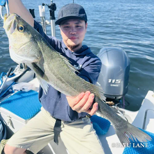 4:30～「五目便」7