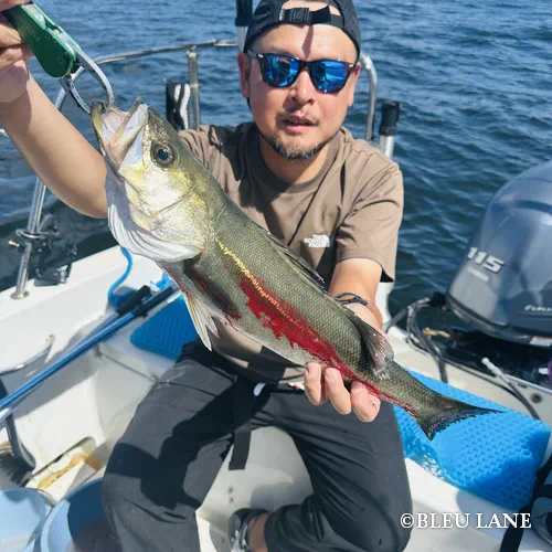 4:30～「五目便」8