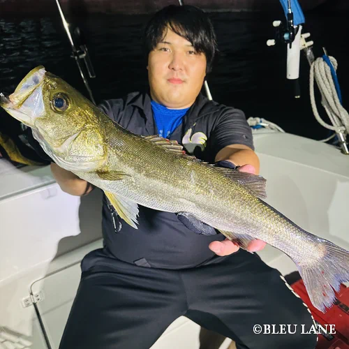 23:00~「シーバス便」25