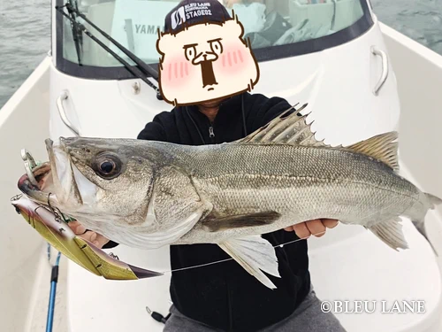 横浜 釣り船