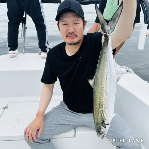 神奈川 釣り船2