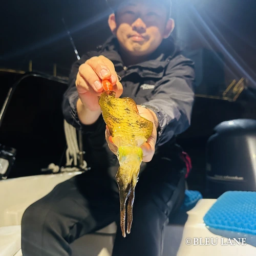 横浜 釣り船1