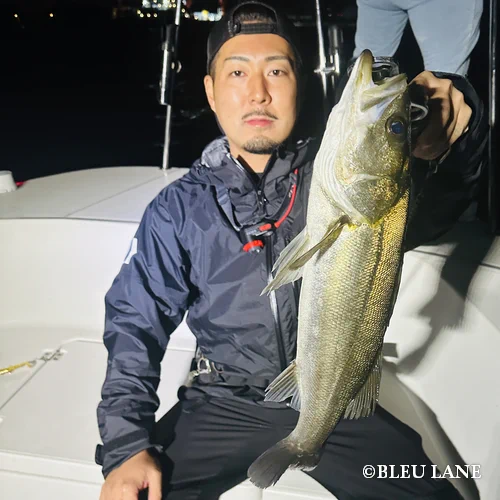 横浜 釣り船50