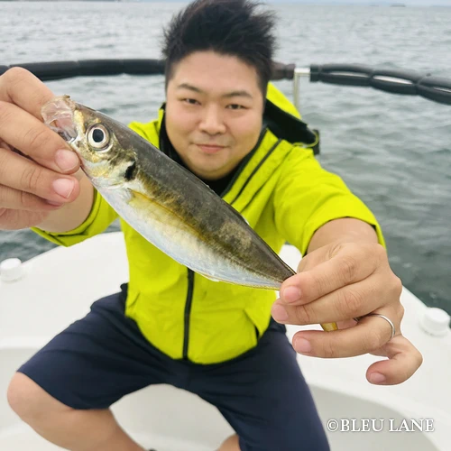 神奈川　釣り船4