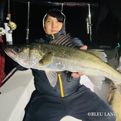 横浜 釣り船4