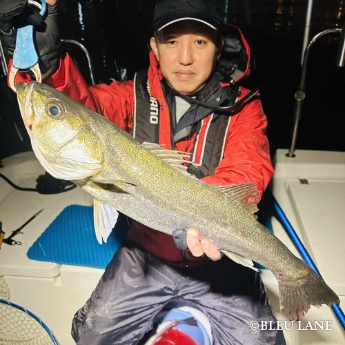 神奈川 釣り船20