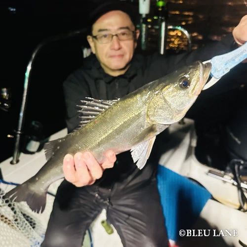 神奈川 釣り船5