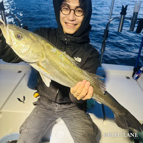 横浜　釣り船215