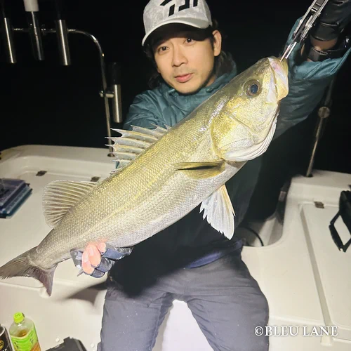 横浜 釣り船 神奈川14