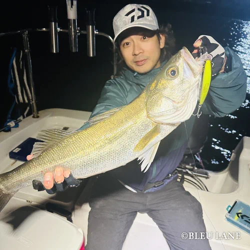 横浜 釣り船 神奈川15