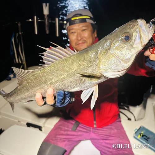 横浜 釣り船 神奈川16