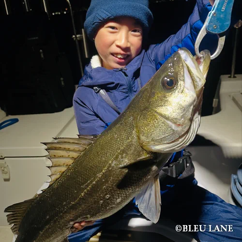 20:00～「シーバス便」13