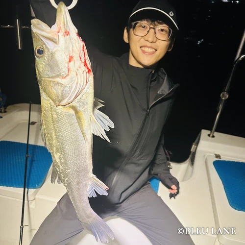 5:00～「シーバス便」15