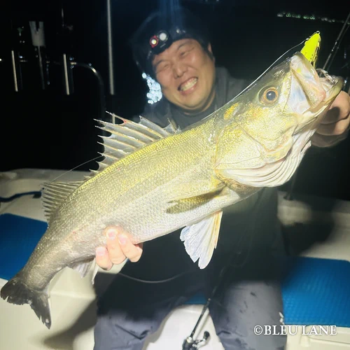 横浜　釣り船50