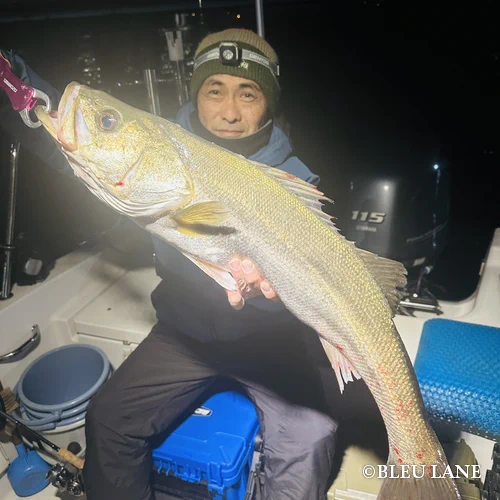 横浜　釣り船20