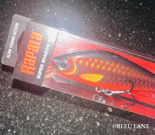 横浜　釣り船10