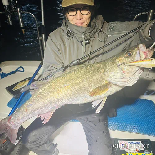 横浜　釣り船15