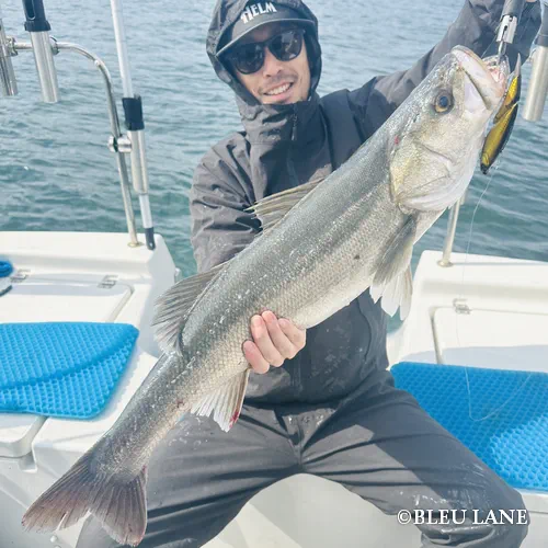 横浜　釣り船20