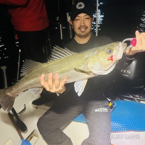 ビッグベイト シーバス3