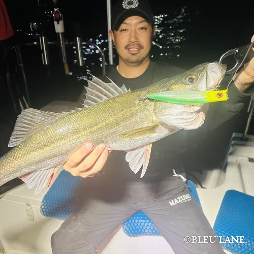 ビッグベイト シーバス45