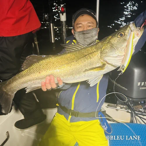 ビッグベイト シーバス5