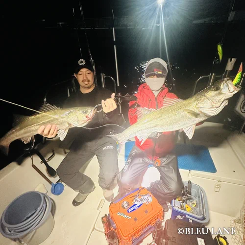 ビッグベイト シーバス7