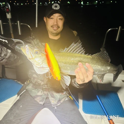 ビッグベイト シーバス8