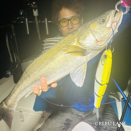 ビッグベイト シーバス9