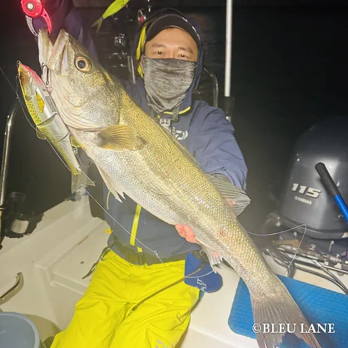 ビッグベイト シーバス11