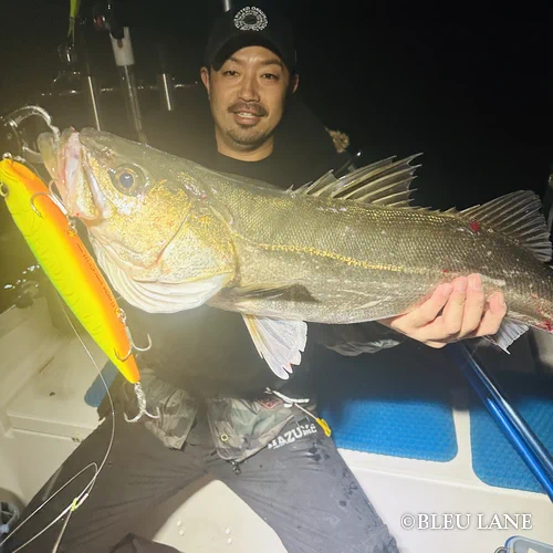 ビッグベイト シーバス13