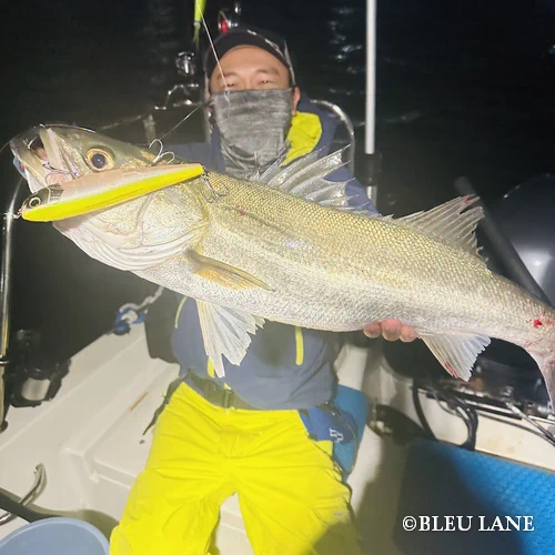 ビッグベイト シーバス14