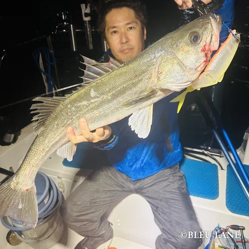 ビッグベイト シーバス15