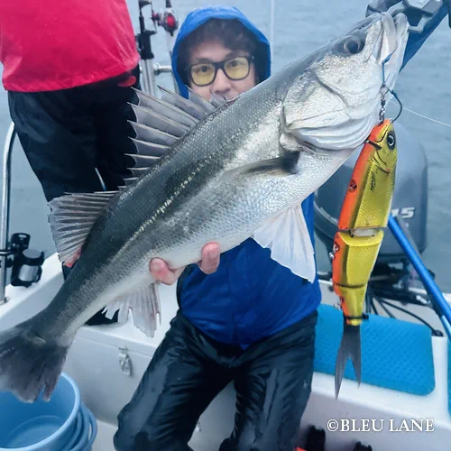 ビッグベイト シーバス16