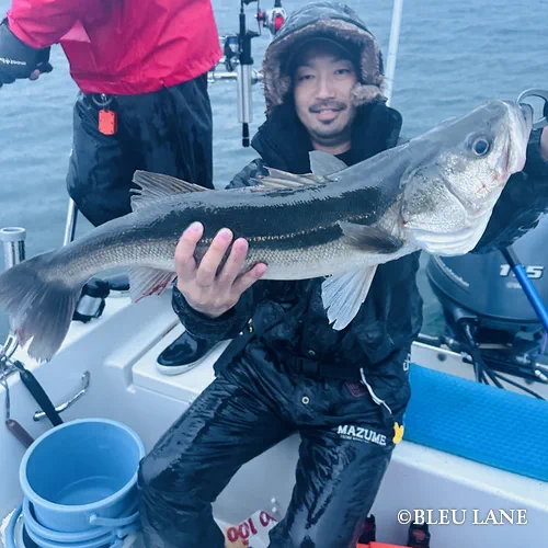 ビッグベイト シーバス17