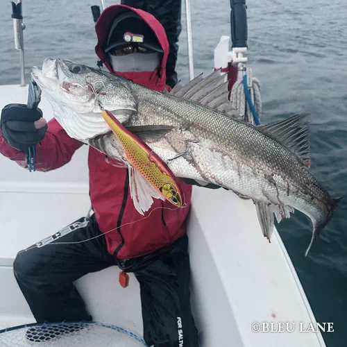 ビッグベイト シーバス18