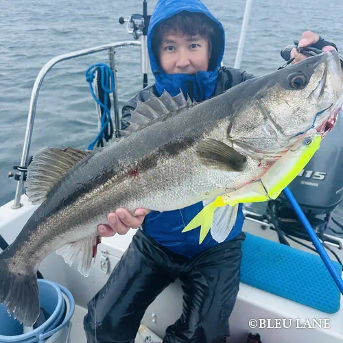 ボートシーバス