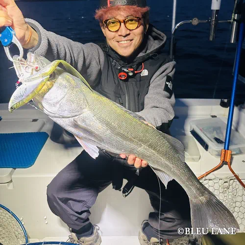 横浜　ボートシーバス
