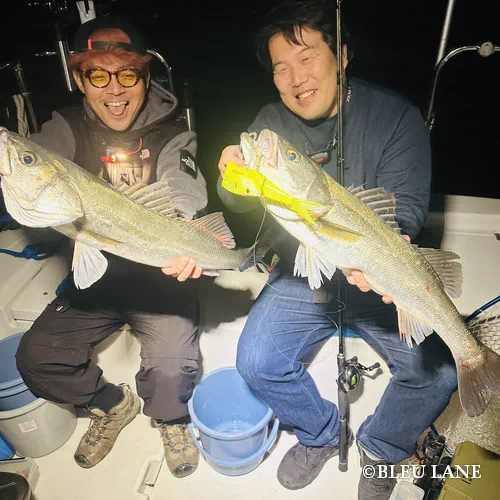 横浜　ボートシーバス3