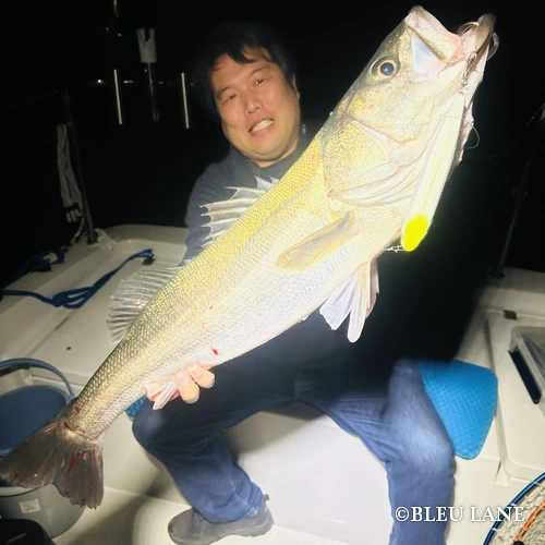 横浜　ボートシーバス5