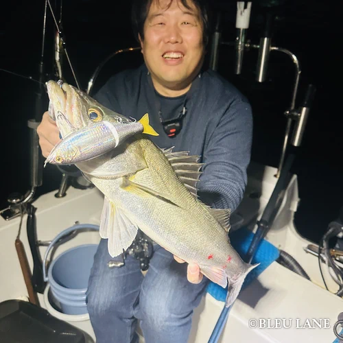 横浜　ボートシーバス6