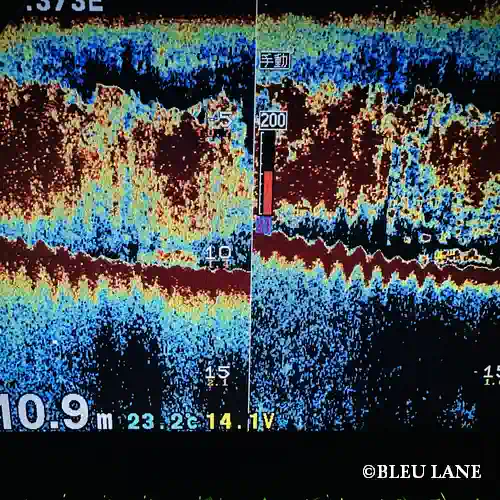 横浜　ボートシーバス7
