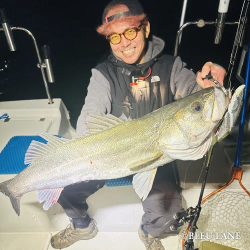 横浜　ボートシーバス15