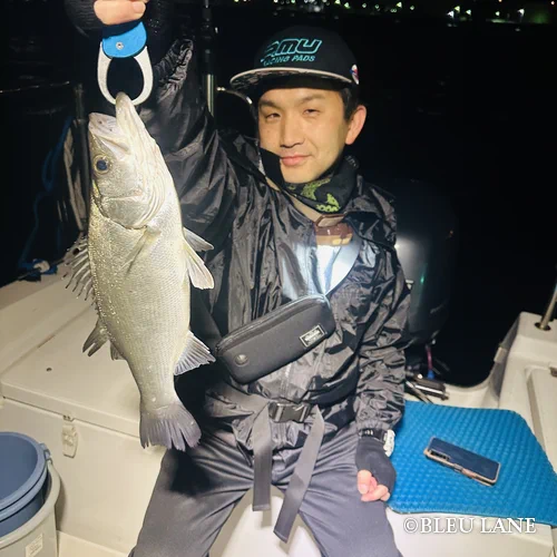 横浜　ボートシーバス1