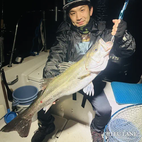 横浜　ボートシーバス12