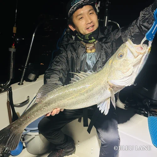 横浜　ボートシーバス123