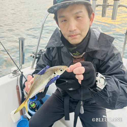 横浜　ボートシーバス14