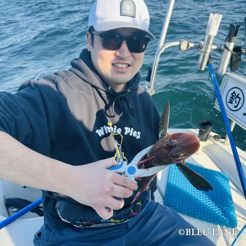 ボートシーバス　神奈川2